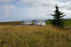 78819586_624838898255344_1199322862394015744_n