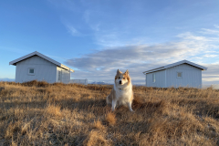 Photo-31.1.2021-15-33-55