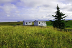 Sumar_beindalsholt