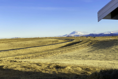 beindalsholt_04