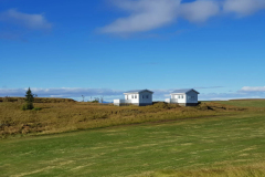 sumar_beindalsholt_08