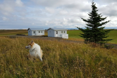 79406999_527341364485901_3389778972450488320_n